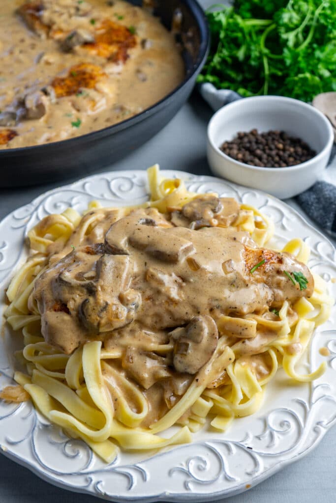 Chicken and mushroom stroganoff on top of egg noodles on a white plate.