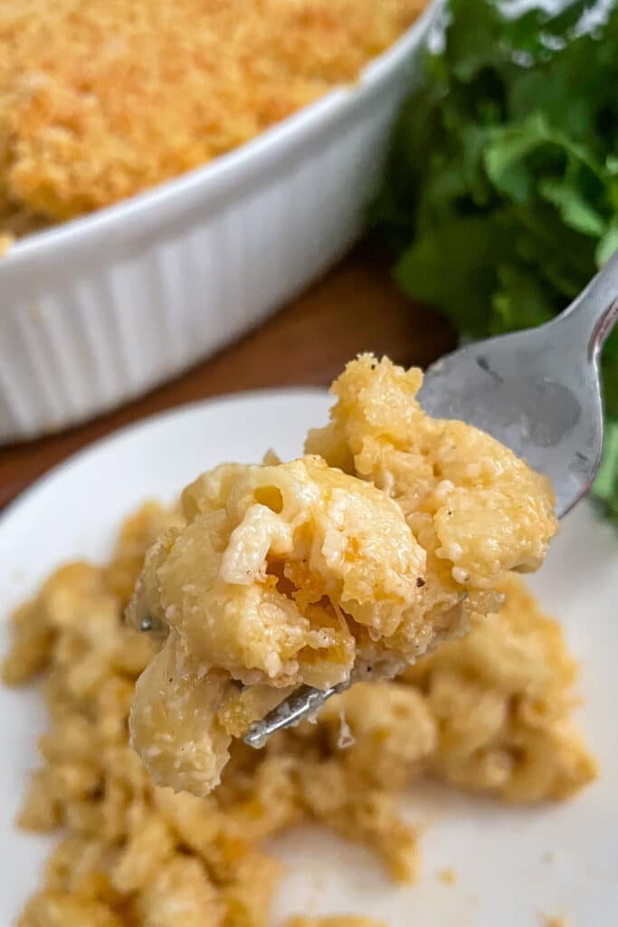 close up photo of baked mac and cheese on a fork