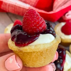 mini cheesecake bites being held in a hand for a close up picture
