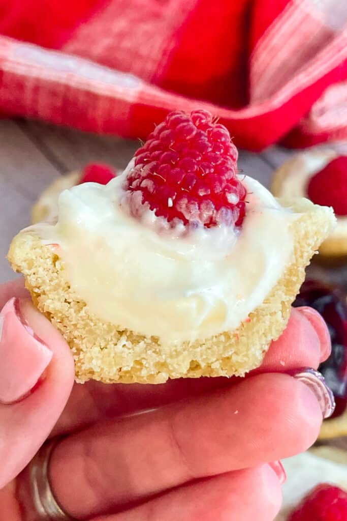 Easy Mini Cheesecake Bites Recipe