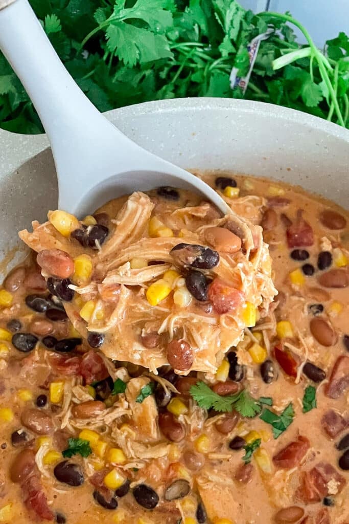 Ladel full of creamy chicken taco soup