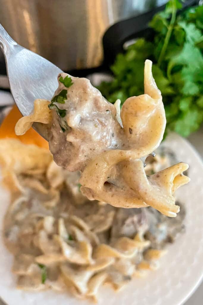 close up image of beef stroganoff on a fork to take a bite