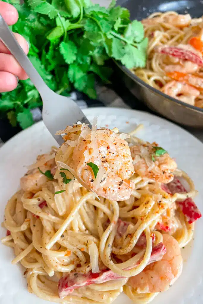 close up photo of a plate of creamy shrimp pasta on a fork getting ready to take a bite.