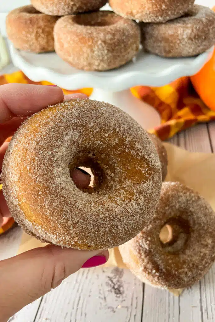 صورة مقربة لكعكة اليقطين المخبوزة لإظهار قوام الطبقة العلوية من سكر القرفة. 